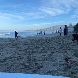 Meet your Posher, Tessa